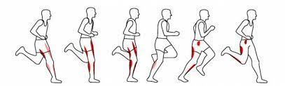 runner's gait